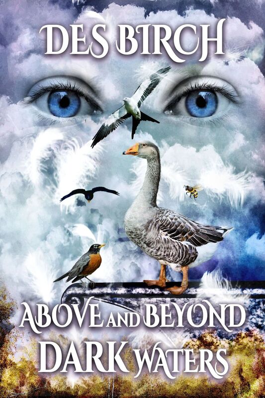 Above and Beyond Dark Waters
