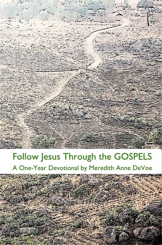 Follow Jesus Through the Gospels: A One-Year Devotional