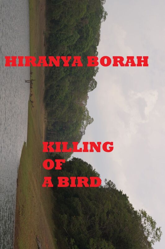 Killing of A Bird
