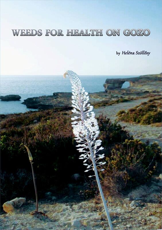 Weeds For Health On Gozo