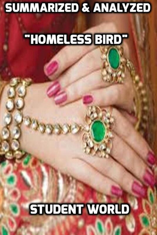 Summarized & Analyzed "Homeless Bird"