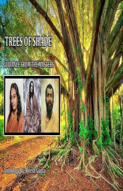 Trees of Shade: A Spiritual Collection