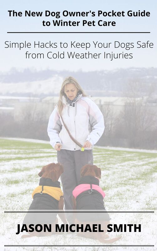 The New Dog Owner's Pocket Guide to Winter Pet Care: Simple Hacks to Keep Your Dogs Safe from Winter Weather Injuries