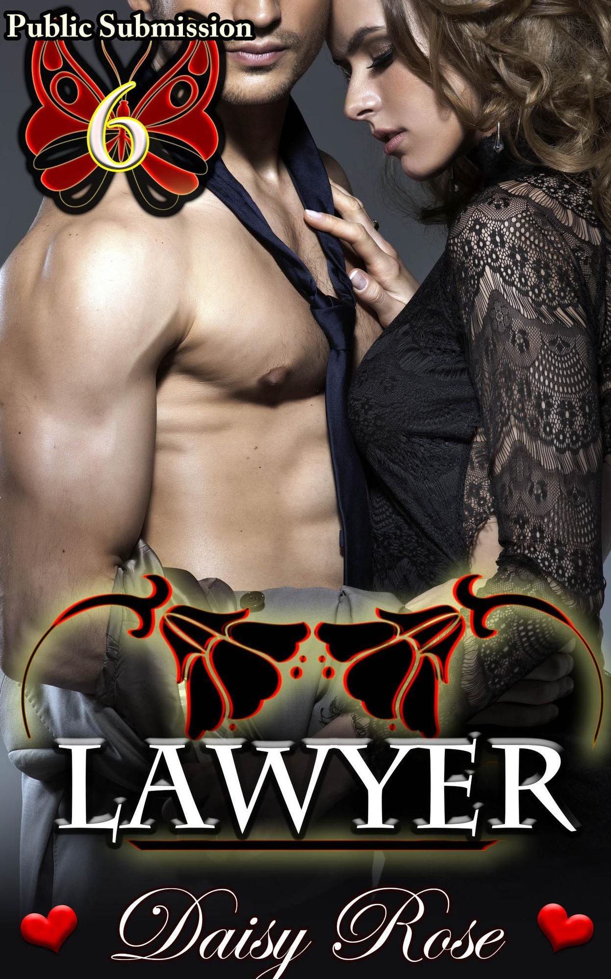 Public Submission 6: Lawyer