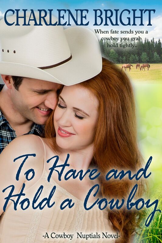 To Have and Hold a Cowboy