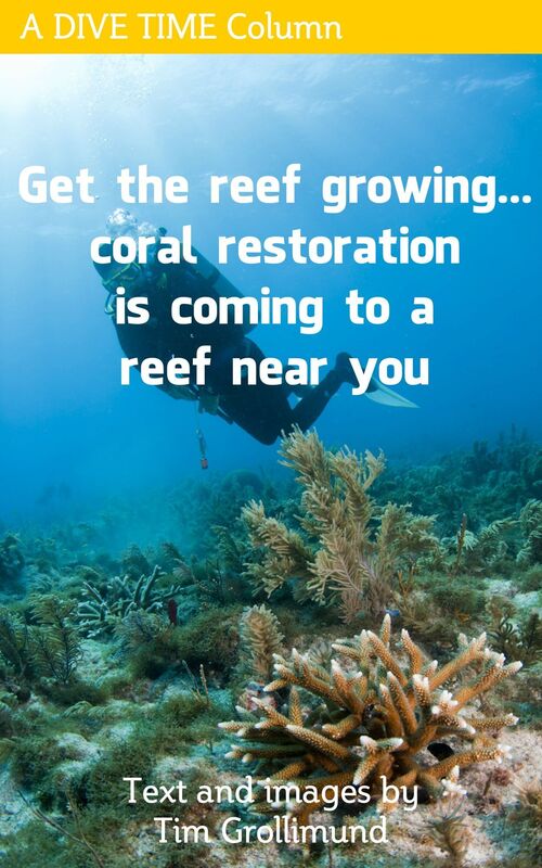 Get The Reef Growing... Coral Restoration Is Coming To A Reef Near You