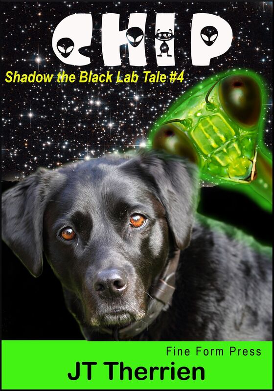 Chip: A Shadow the Black Lab Tale #4