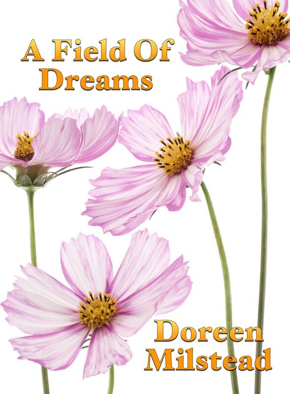 A Field Of Dreams