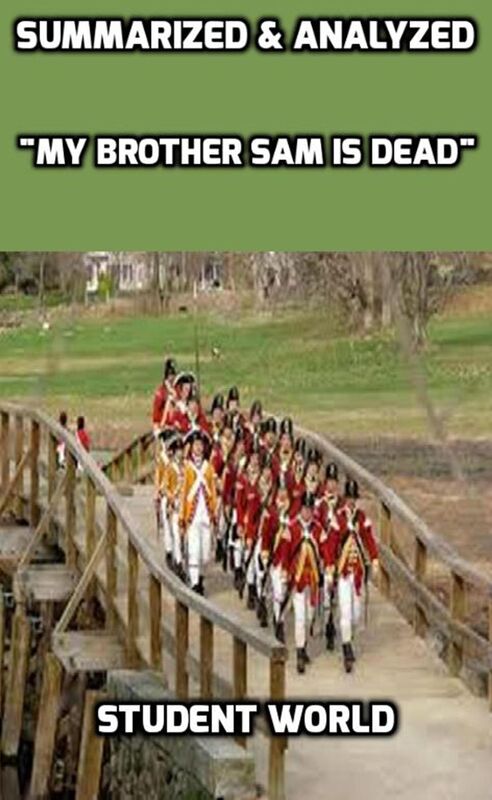 Summarized & Analyzed: "My Brother Sam Is Dead"