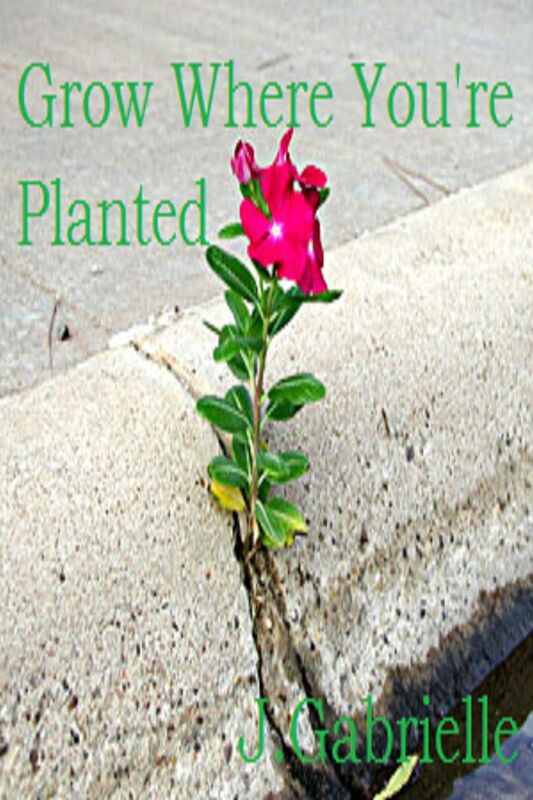 Grow Where You're Planted