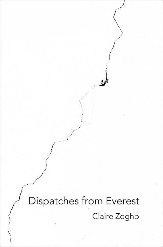 Dispatches from Everest