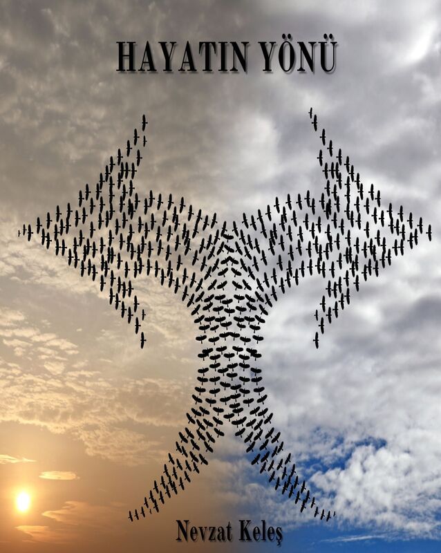 Hayatin Yonu