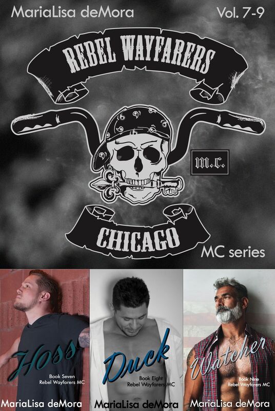 Rebel Wayfarers MC Vol. 7-9 (Hoss Duck Watcher Harddrive Holidays Biker Chick Campout)