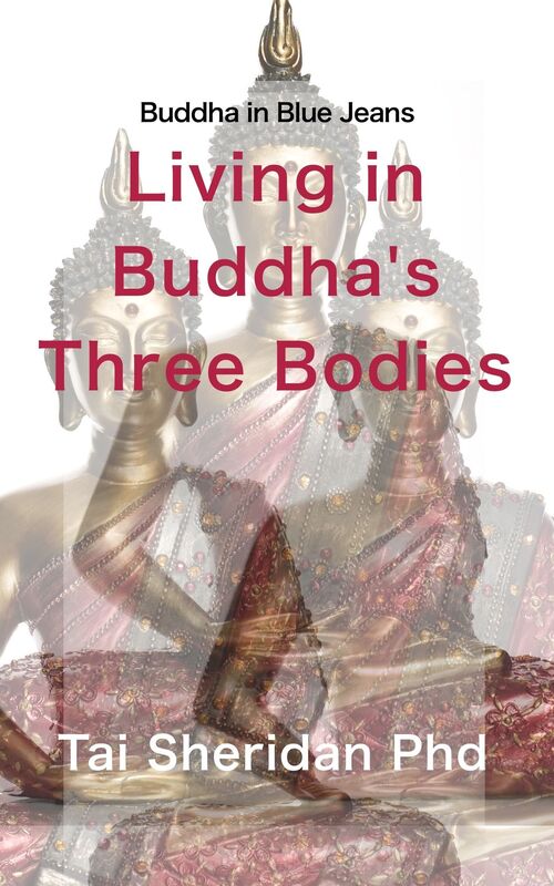 Living in Buddha's Three Bodies