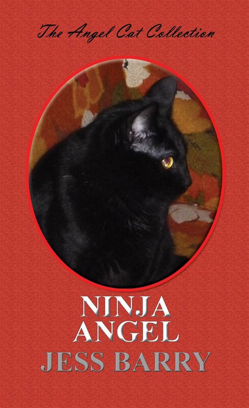 Ninja Angel