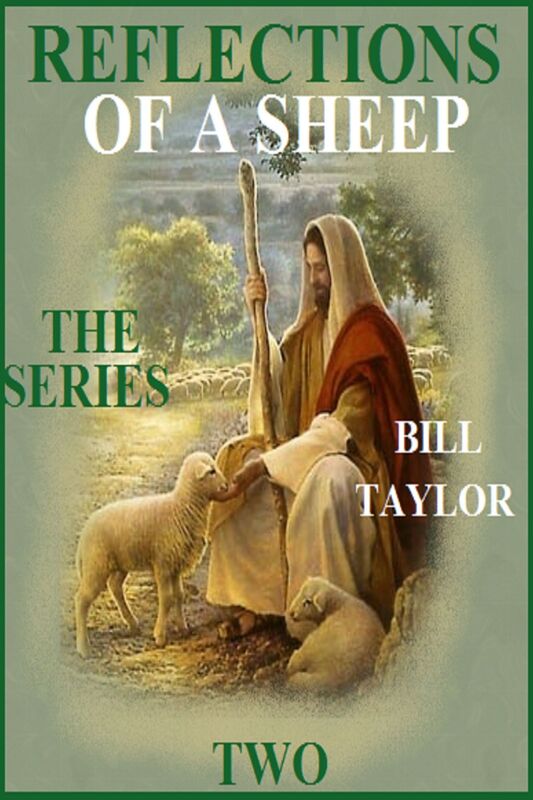 Reflections Of A Sheep: The Series - Book Two