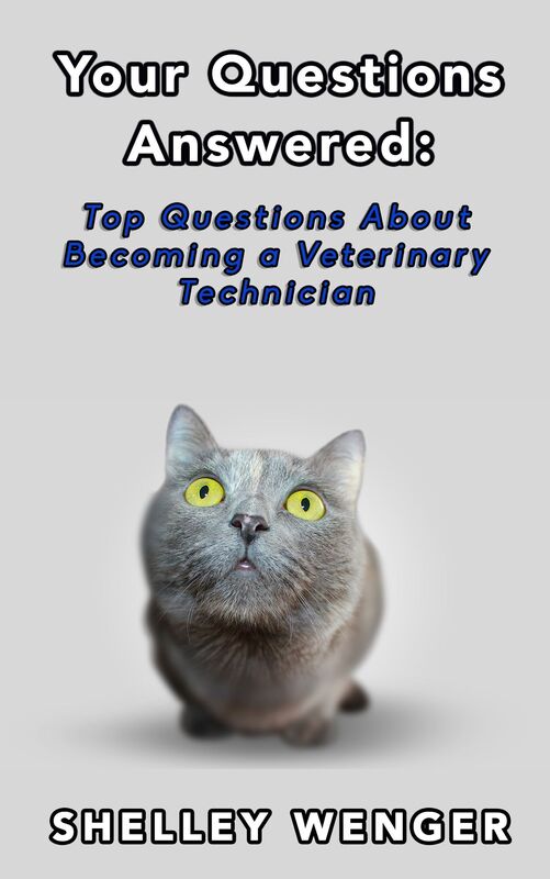 Your Questions Answered: Top Questions About Becoming a Veterinary Technician