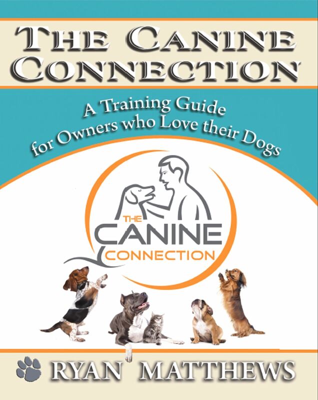The Canine Connection: A Training Guide for Owners who Love their Dogs