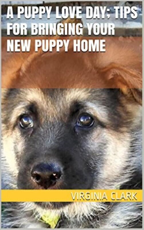 A Puppy Love Day; Tips for Bringing Your New Puppy Home
