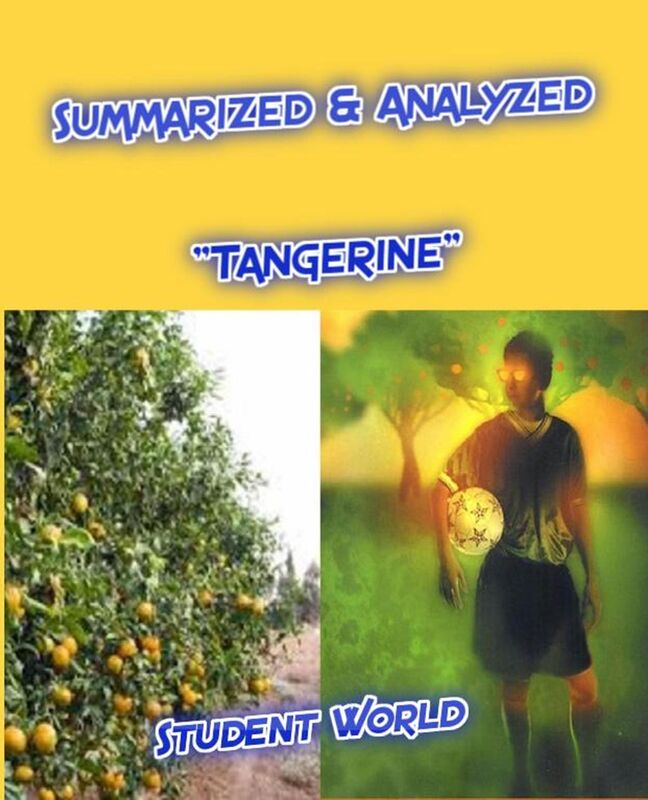 Summarized & Analyzed "Tangerine"