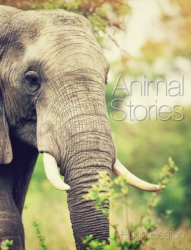 Animal Stories
