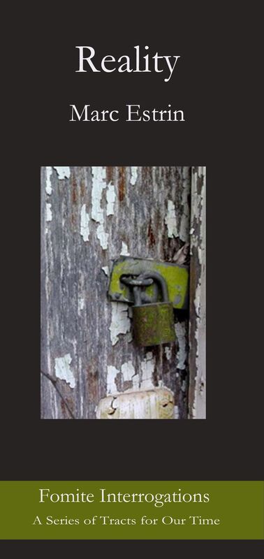 Reality: Simulations - the Analytical Audacity of Jean Baudrillard