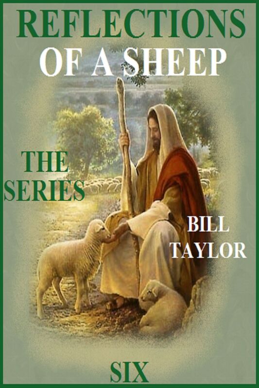 Reflections Of A Sheep: The Series - Book Six