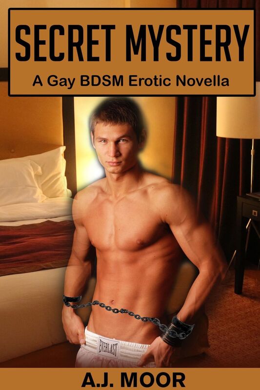 Secret Mystery: A Gay Bondage Erotic Novella