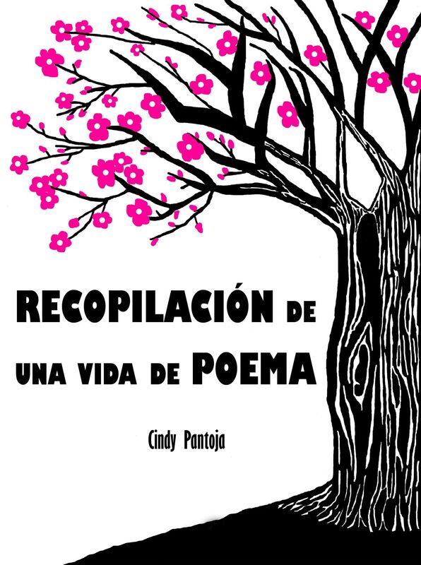 Recopilación De Una Vida De Poema