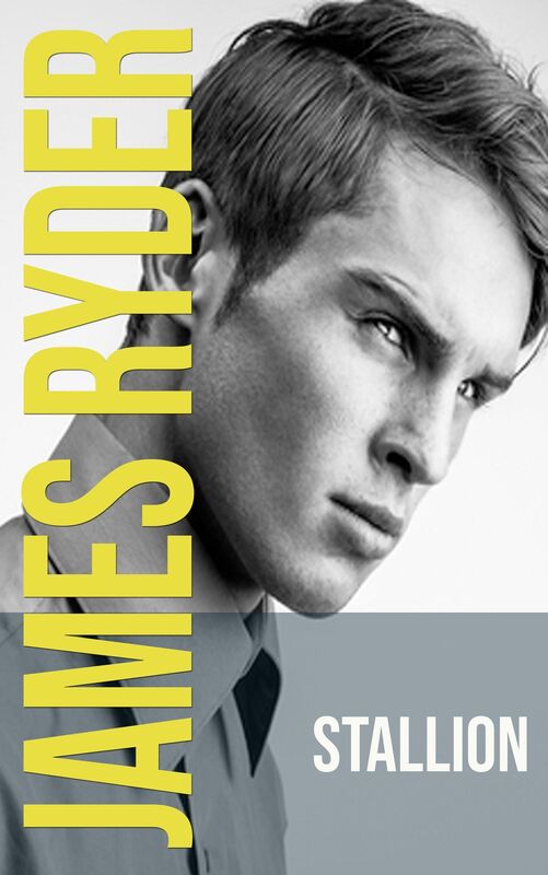 Stallion (States of Love #4: Texas) A M/M gay romance novel