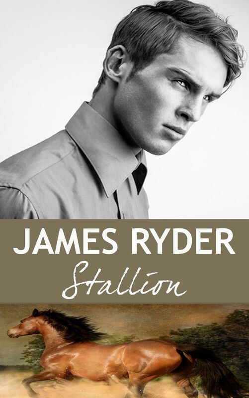 Stallion (States of Love #4: Texas) A M/M gay romance novel
