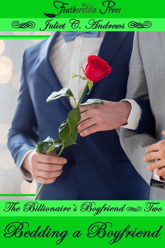 The Billionaire's Boyfriend, #2: Bedding a Boyfriend