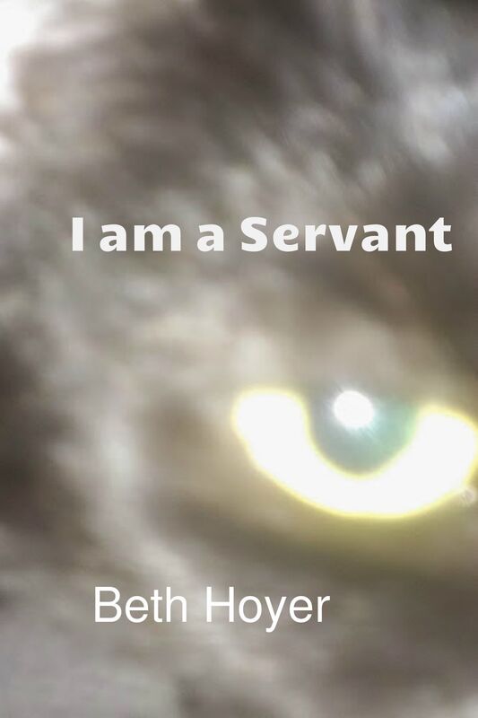 I am a Servant