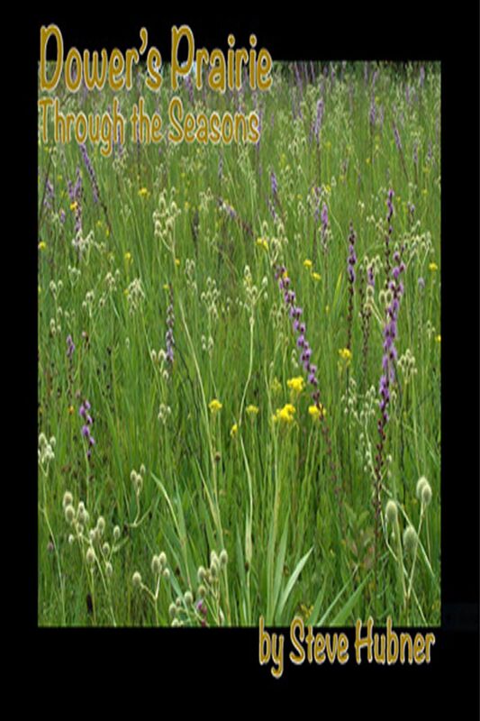 Dower's Prairie through the Seasons