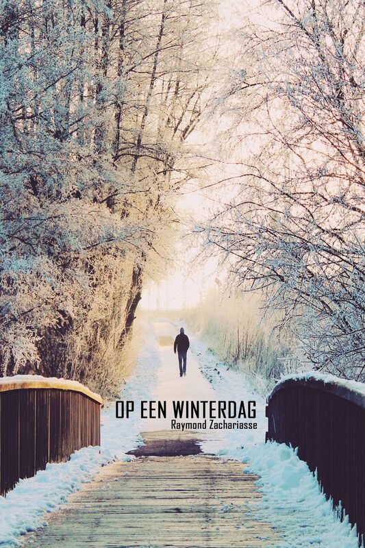 Op een winterdag
