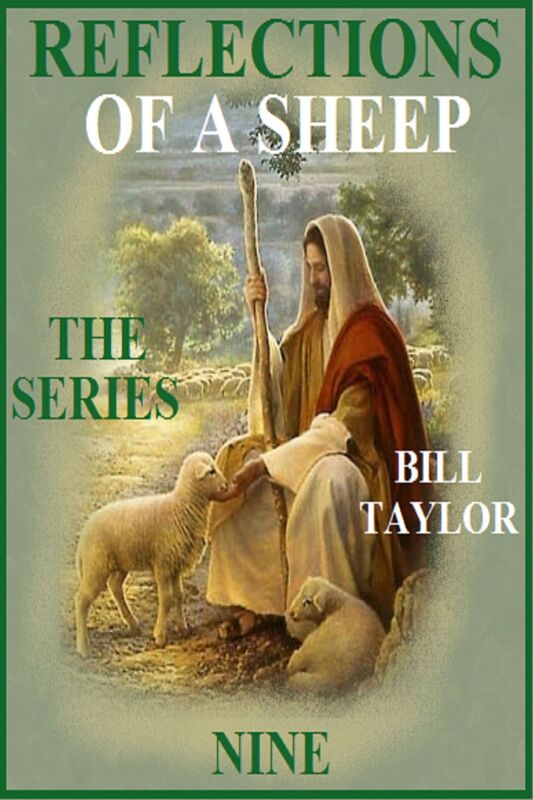 Reflections Of A Sheep: The Series - Book Nine