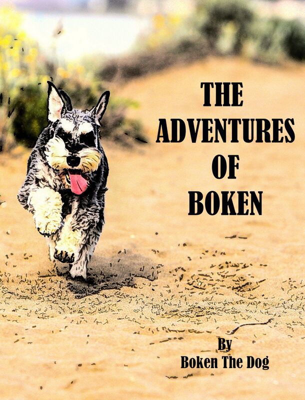 The Adventures of Boken