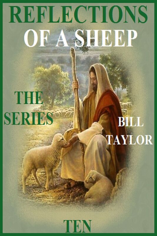 Reflections Of A Sheep: The Series - Book Ten