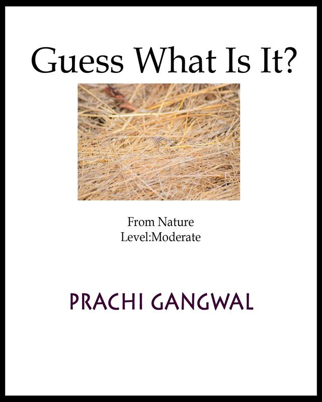 Guess what is it? From Nature; Moderate