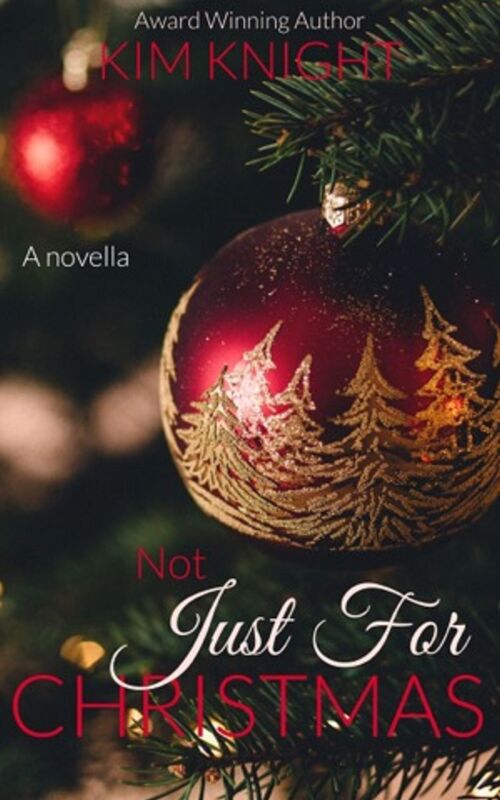 Not Just For Christmas: Romance Novella