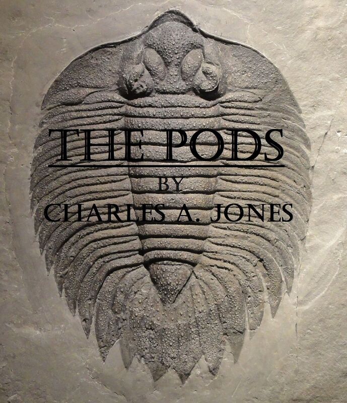 The Pods: Flash Fiction
