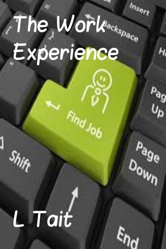 The Work Experience