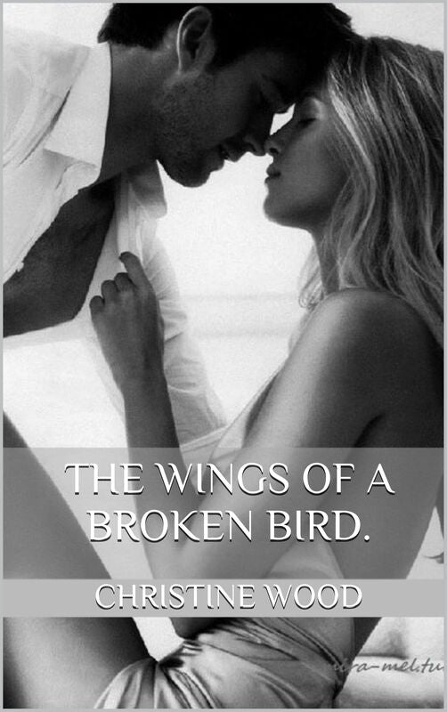 The Wings of a Broken Bird.
