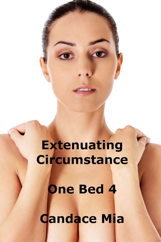Extenuating Circumstance: One Bed 4