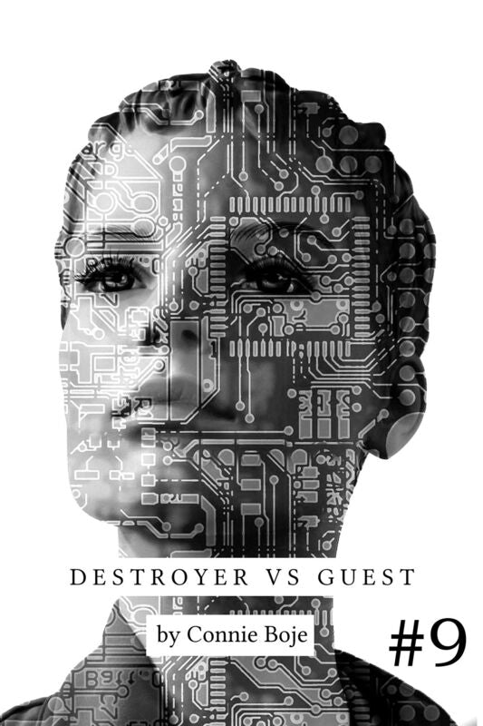 Destroyer Vs Guest