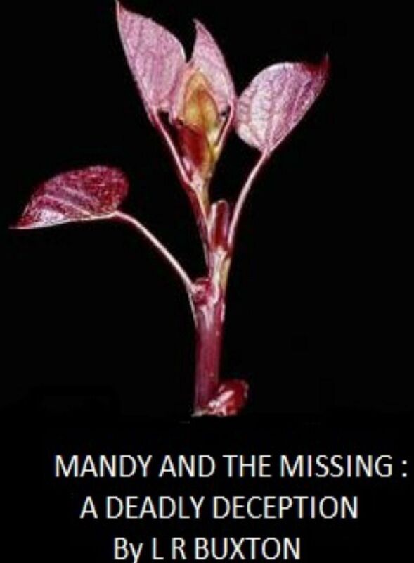 Mandy And The Missing: A Deadly Deception