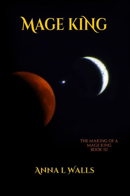 Mage King: Book 3 of The Making of a Mage King series