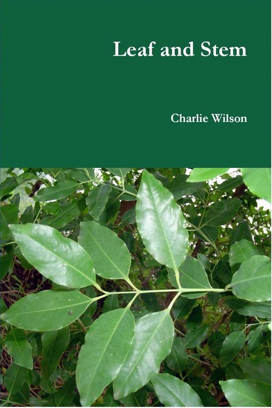 Leaf and Stem