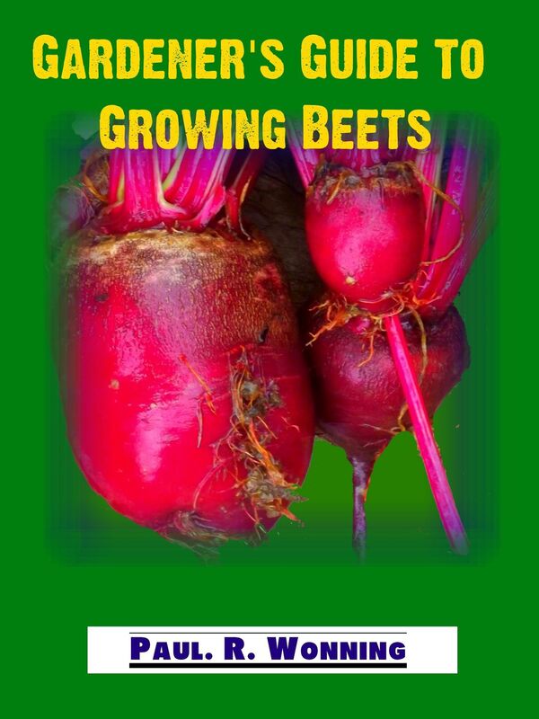 Gardener's Guide to Growing Beets