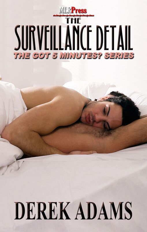 The Surveillance Detail